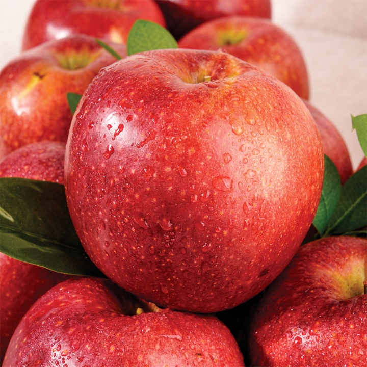 사과 중 으뜸 경북 감홍사과 가정용 3kg 14과 내외