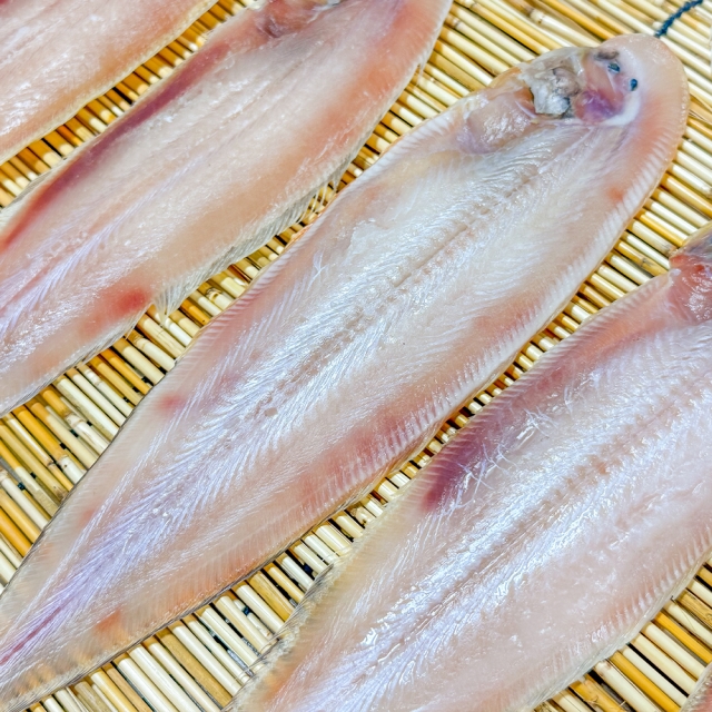 [박대 5마리 7900원!!] 주문진 반건조 박대 (중짜/대짜)