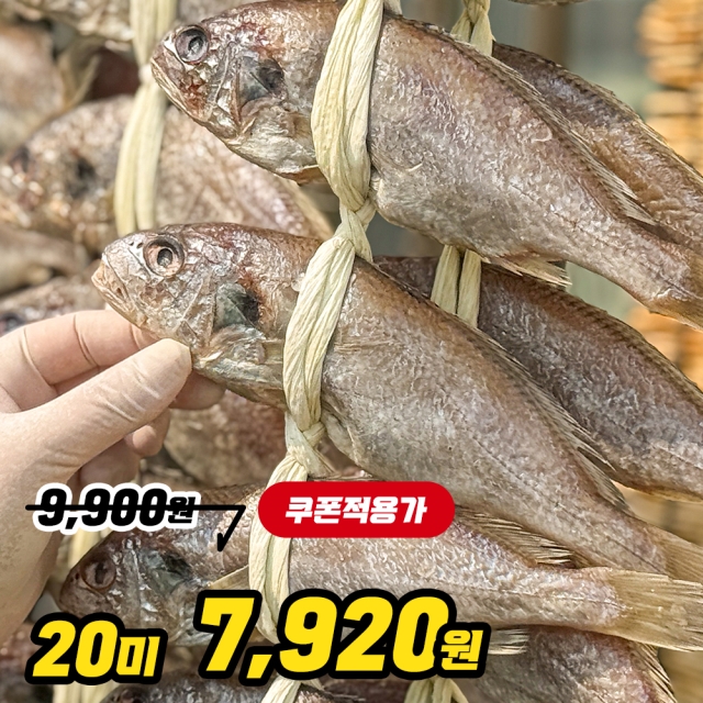 백굴비 1두름