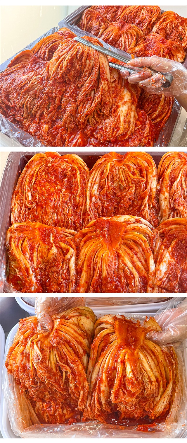 농가네 충청도 재래식 포기 김치 10kg